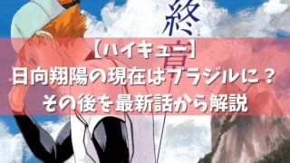 ハイキュー 春高全国大会のネタバレ 烏野は優勝するのか ゴミ捨て場の決戦も ページ 2