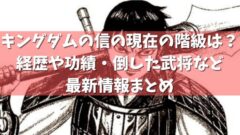 キングダムの信の現在の階級は 経歴や功績 倒した武将など最新情報まとめ