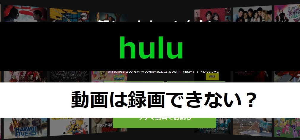 Huluは画面録画ができない 動画を録画したい時の対処法 ドウガホン