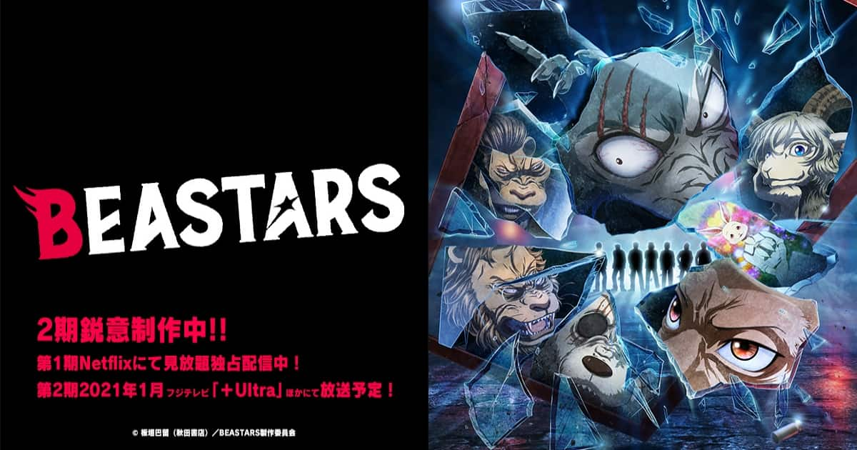 Beastars ビースターズ 1期 2期 全話ネタバレ感想まとめ アニメガホン